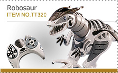 Robot Toy